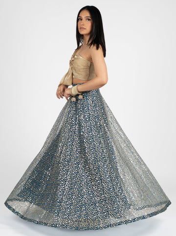 Lehenga Skirts | The Saree Room